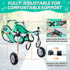 Nasjac adjustable structure fits different dog sizes for everyday use.