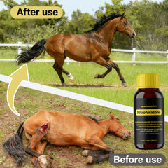 Grooming kit setup with NateNatenight Nitrofurazone for routine maintenance.