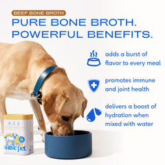 Native Pet Bone Broth powder jar shown for easy, long-lasting hydration support.