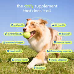Native Pet Daily Dog Vitamins bottle label showing the 11-in-1 formula.