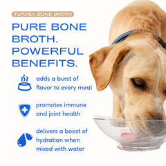 Native Pet dog topper on dry food boosts flavor and hydration