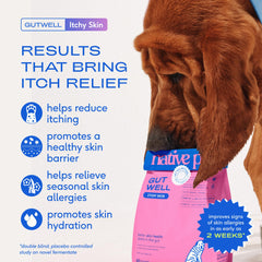 Native Pet GutWell Itchy Skin tub packshot showing daily supplement for itch relief.
