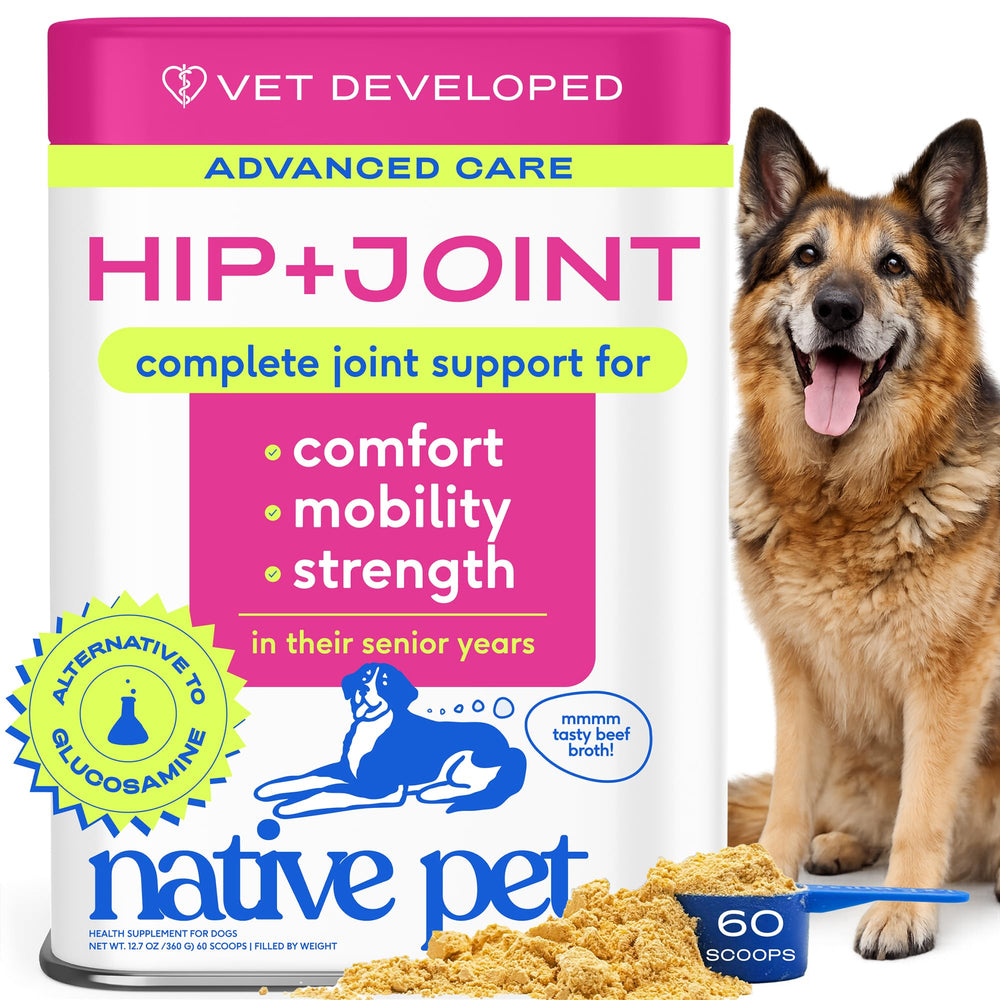 Native Pet Hip & Joint Advanced Care powder in a dog bowl supports flexible movement for aging dogs.