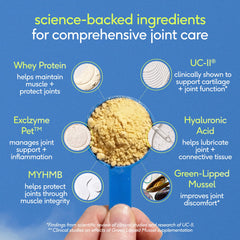Native Pet Hip & Joint Advanced Care UC-II collagen supports cartilage health in dogs.