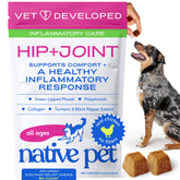 Native Pet Inflammatory Care chews in a bottle for dogs' joint comfort.