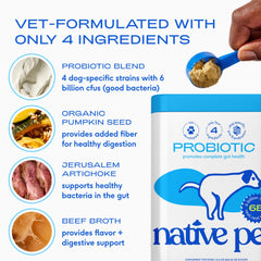 Native Pet Probiotics beef bone broth aroma helps entice dogs during dosing.