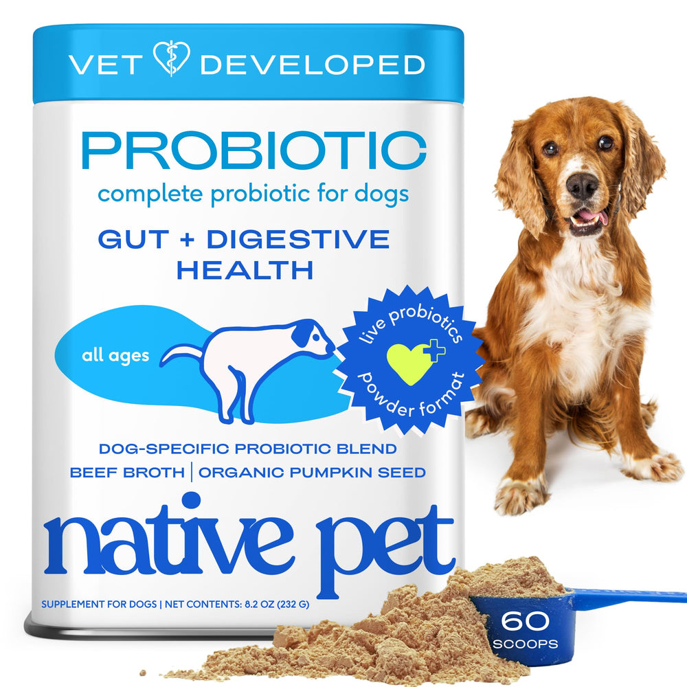 Native Pet Probiotics for Dogs powder bottle supports gut health