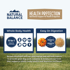 Kibble texture close-up highlighting real salmon as the first ingredient for protein
