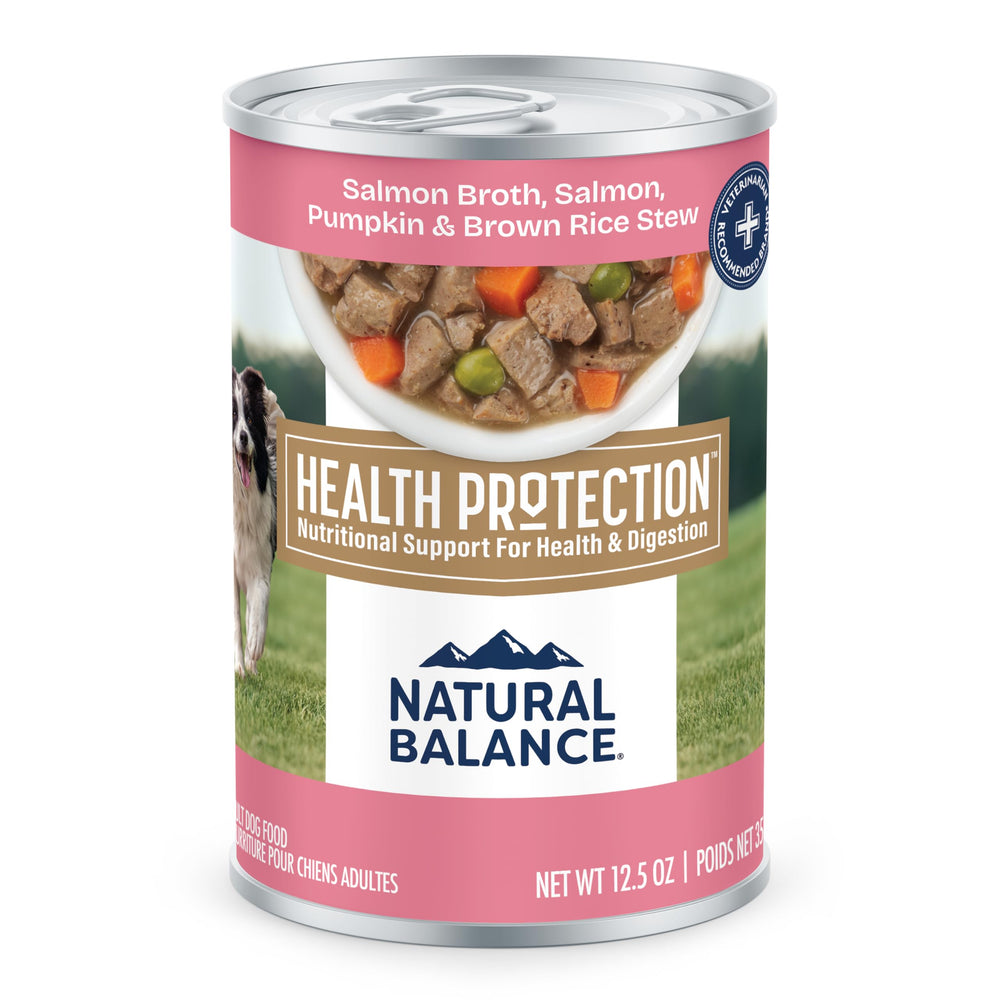 Natural Balance Health Protection wet dog food with salmon broth served in a bowl for hydration.