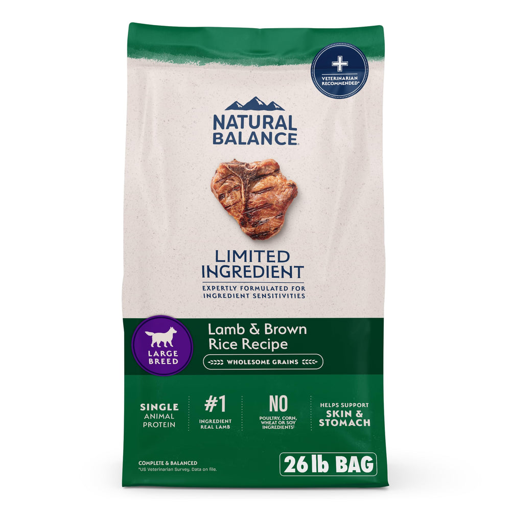 Natural Balance large-breed lamb brown rice dry dog food bag front view showing premium packaging