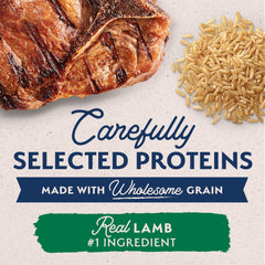 Close-up of Natural Balance LID lamb and brown rice can.