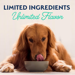 Dog-friendly serving idea with a bowl of Natural Balance recipe.