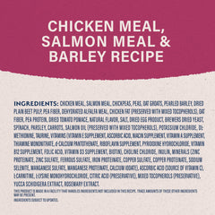 Natural Balance Original Fat Dogs kibble close-up highlighting chicken and salmon meal richness