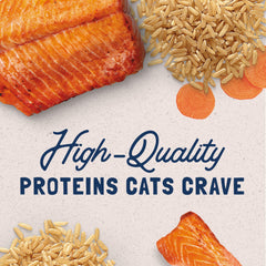 Natural Balance Original Ultra cat salmon with dried egg and carrot ingredients.