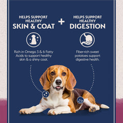 Natural Balance Reserve sweet potato kibble emphasizing grain-free, fiber-rich bites for digestion.