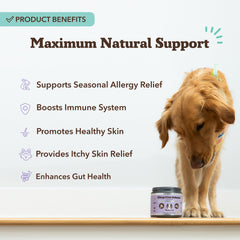Natural Dog Company Allergy Chews soft chews close-up highlighting tasty texture