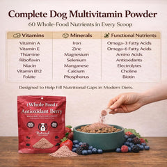 Natural Dog Company topper on dry food enhances palatability and texture