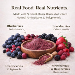 Natural Dog Company Berry Antioxidant Topper scoop with powder ready to serve