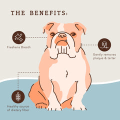 Natural Dog Company dental chews texture close-up for cleaner teeth.