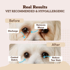 Natural Dog Company eye wipes lift crusty buildup around eyes for comfort