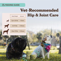 Natural Dog Company glucosamine chondroitin ingredients highlight joint support.