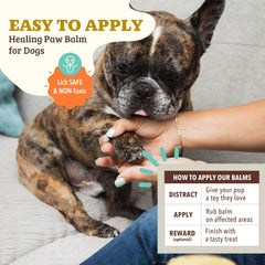 Natural Dog Company Paw Soother ingredients calendula coconut offer gentle, nourishing care.