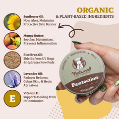 Applying PawTection Balm to a dog paw before outdoor activity.