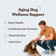 Natural Dog Company Senior Dog Vitamins Chew serving—easy daily treat that supports focus.