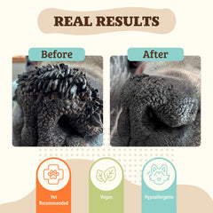 Applying Natural Dog Company Snout Soother on a dog's nose for quick care