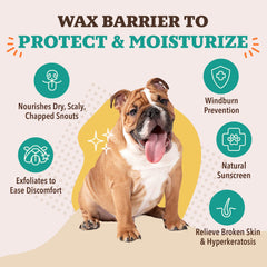 Kukui nut oil present in Natural Dog Company Snout Soother formula