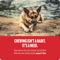 Natural Farm fully-digestible dog chew supports easy digestion.