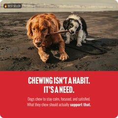 Natural Farm non-GMO beef treats for dogs support ingredient transparency
