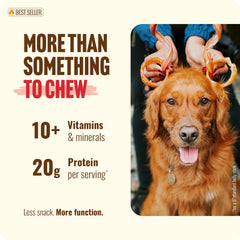 Natural Farm Odor Free Bully Sticks 10-Pack shown in crate-training setup.