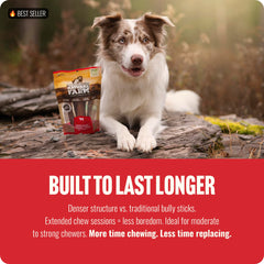 Beef cheek wrapped with beef pizzle provides long-lasting chew for dogs