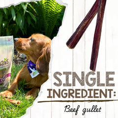 Nature Gnaws Beef Gullet Sticks for small and medium dogs.