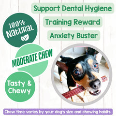 Rawhide-free Nature Gnaws beef gullet sticks with low odor chewing.