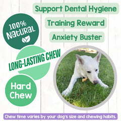Nature Gnaws Paddywack tendons ideal for teething puppies and chewers.