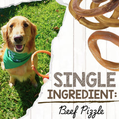 Nature Gnaws beef pizzle ring texture close-up highlighting savory chew for dental wellness.