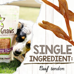 Puppy-friendly Nature Gnaws Beef Tendons ideal for teething puppies.