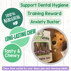 Nature Gnaws braided pork bully sticks dogs-small; ideal teething distraction