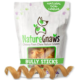 Nature Gnaws Bully Stick Springs pack shot showing a long-lasting dog chew