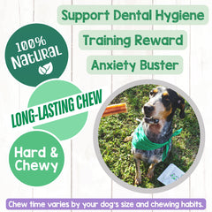 Nature Gnaws large bully sticks ideal for aggressive chewers and large dogs.