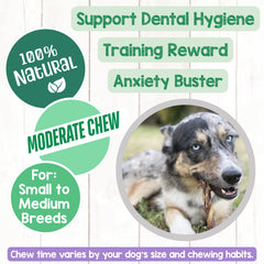 Nature Gnaws teething-friendly chew for small and medium dogs