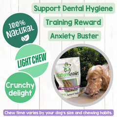 Nature Gnaws Tripe Twists small dog treat closeup for easy rewards