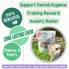 Nature Gnaws USA Pig Ears large-dogs chew session for busy chewers.