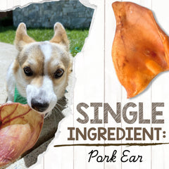 Nature Gnaws USA Pig Ears thick-texture chew aids teething and satisfaction.
