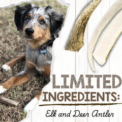 Nature Gnaws whole antlers offer sturdy, satisfying chews for aggressive chewers.