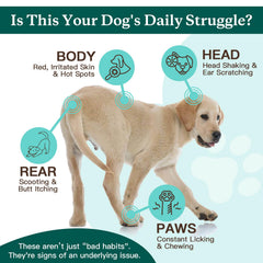 Nature Target Freeze-Dried Bites with real chicken for picky eaters.