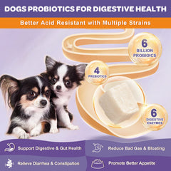 Nature Target freeze-dried dog probiotics bites with strong shelf-stable protection.