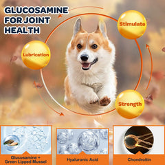 Nature Target glucosamine joint chews closeup, chicken flavor appealing to picky dogs.